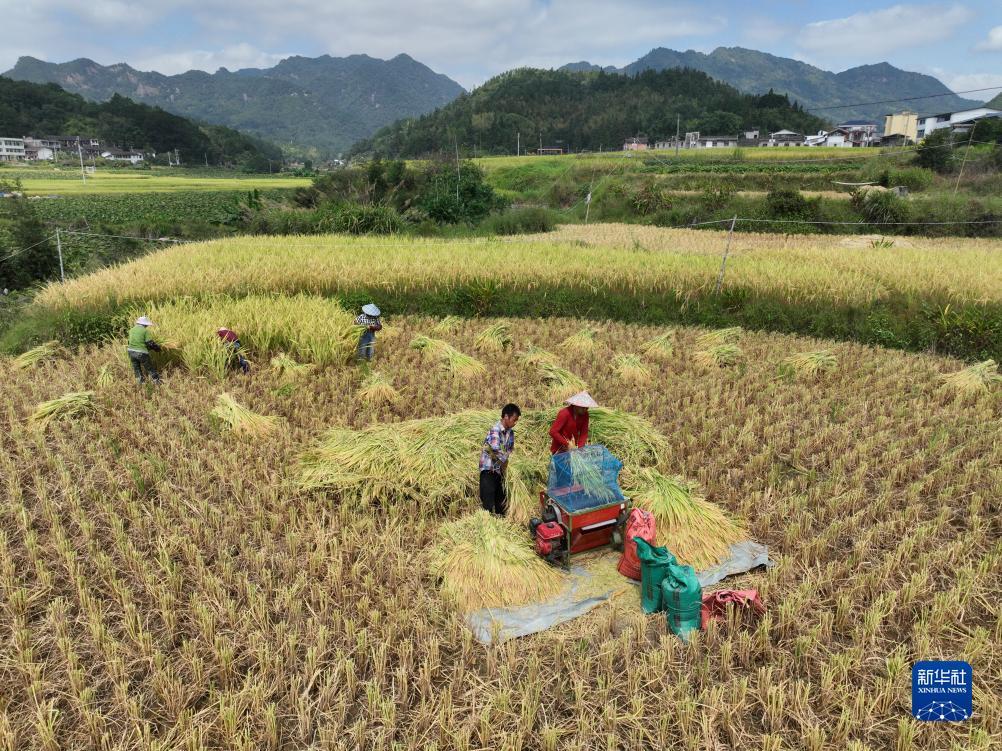 皇冠新二手机登录地址